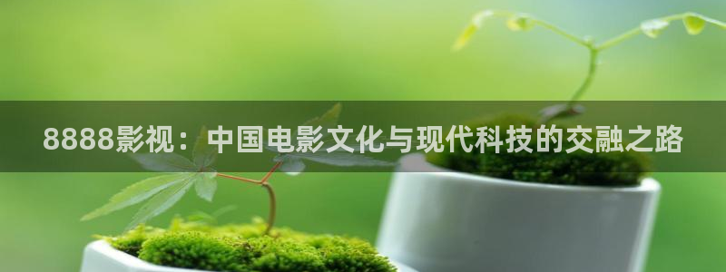 69视频免费看：8888影视：中国电影文化与现代科技的交融之路