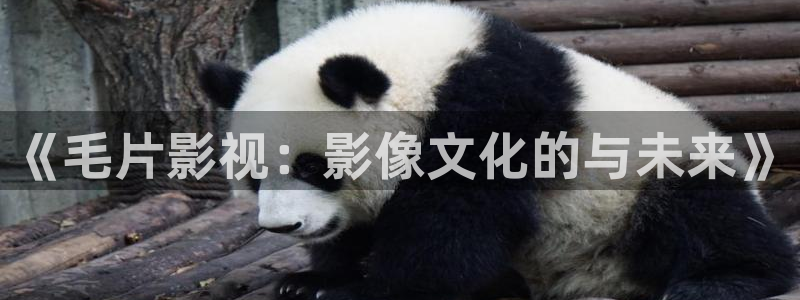 69视频爱爱：《毛片影视：影像文化的与未来》