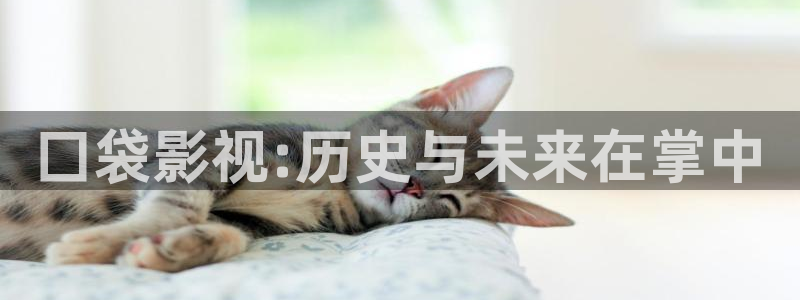69视频污污版