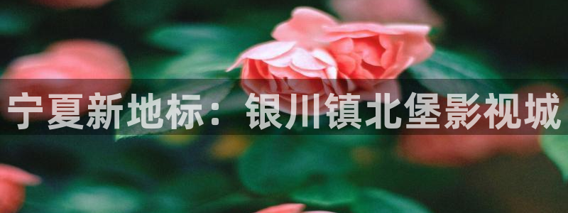 曰本69视频：宁夏新地标：银川镇北堡影视城