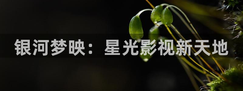 69视频黄：银河梦映：星光影视新天地