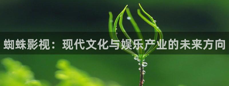 69视频18：蜘蛛影视：现代文化与娱乐产业的未来方向